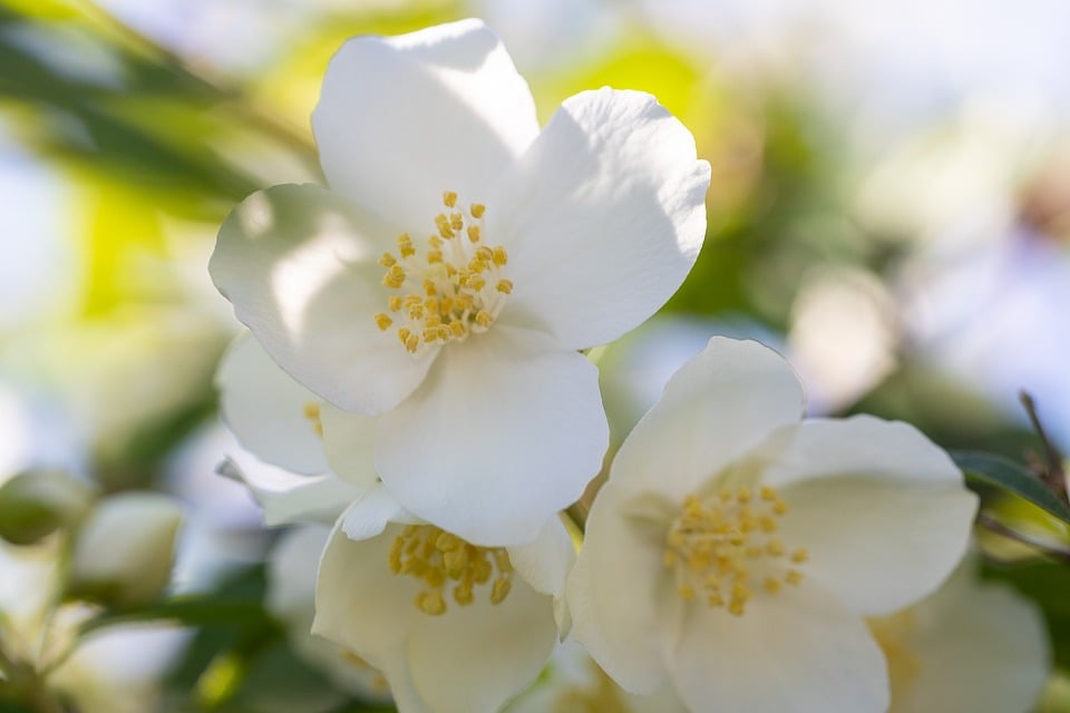 10 Jahre KUVA Leonding: Funkeln in der 44er Galerie feiern