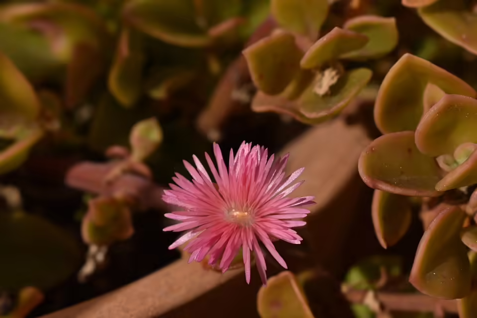 189 Feuerwehrabzeichen in Urfahr-Umgebung: Highlights der Branddienstprüfung