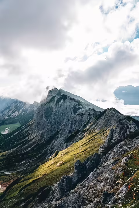 225.000 Krankmeldungen: Grippewelle in Österreich trifft viele