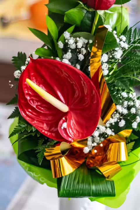 30 Jahre NHL Graz: Jubiläum mit Eishockey, Spaß und freiem Eintritt