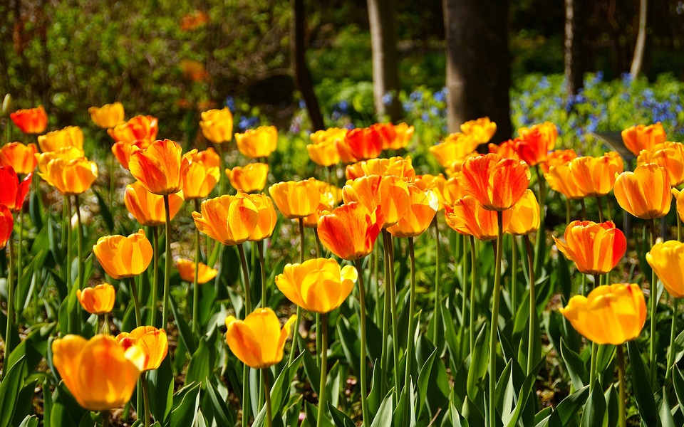 50 Billionen Dollar Schutzmaßnahme gegen Trump