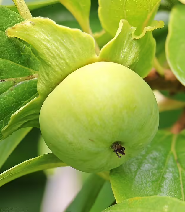 60 Jahre nach der Matura: Ehemalige BRG-Absolventen treffen sich in Leoben