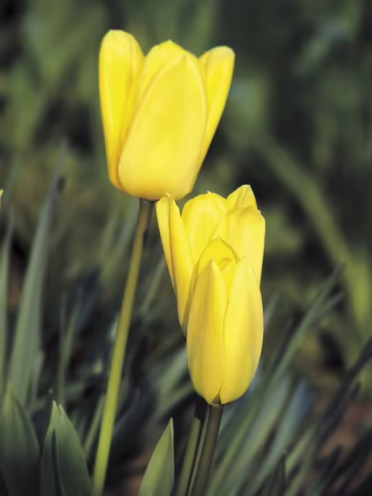 727 offene Stellen im Bezirk trotz leicht sinkender Arbeitslosigkeit