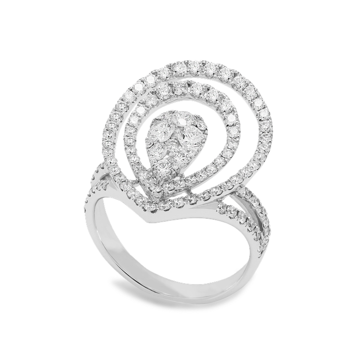 80 Jahre Engagement: Panathlon Club Innsbruck würdigt Verdienste von Sponring