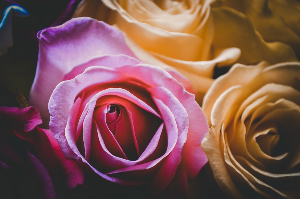 84-Jährige aus Villach verliert Geldbörse am Bahnhof – Bargeld unauffindbar