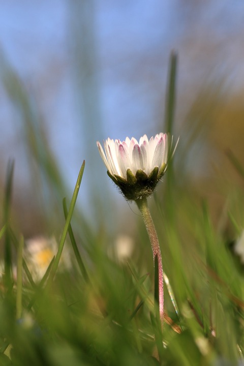 99 Jahre jung: Hollabrunnerin Margaretha Schieder als Sportvorbild geehrt