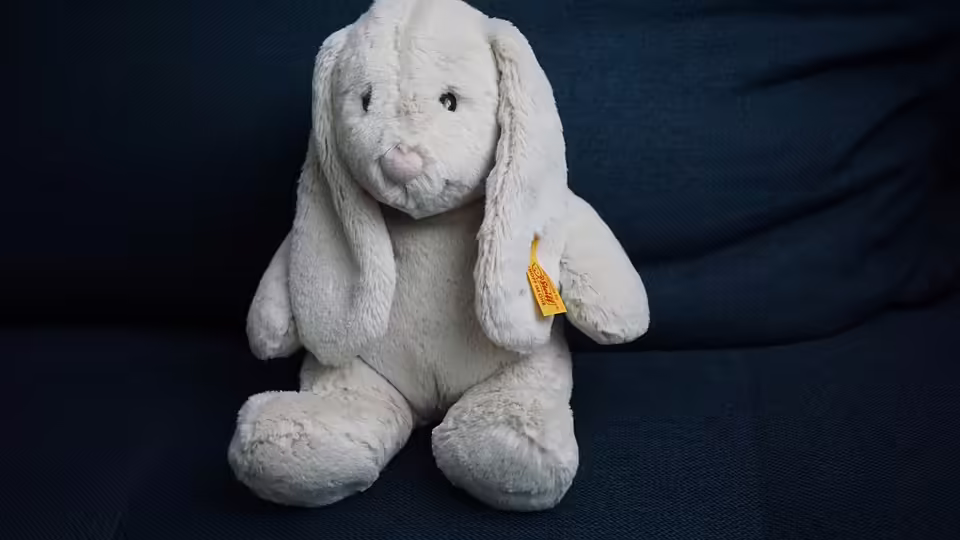 Adventliche Vorfreude: Weihnachtsmarkt in Ottensheim am Wochenende