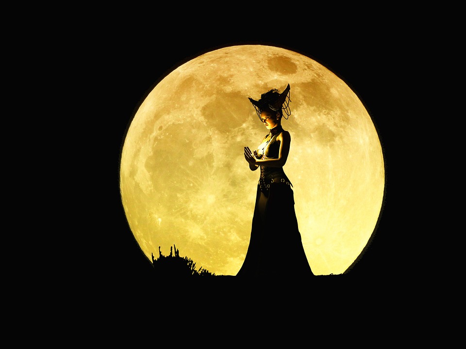 Adventlicher Zauber am Lendhafen: Weihnachtsmarkt mit Schafen und Kultur