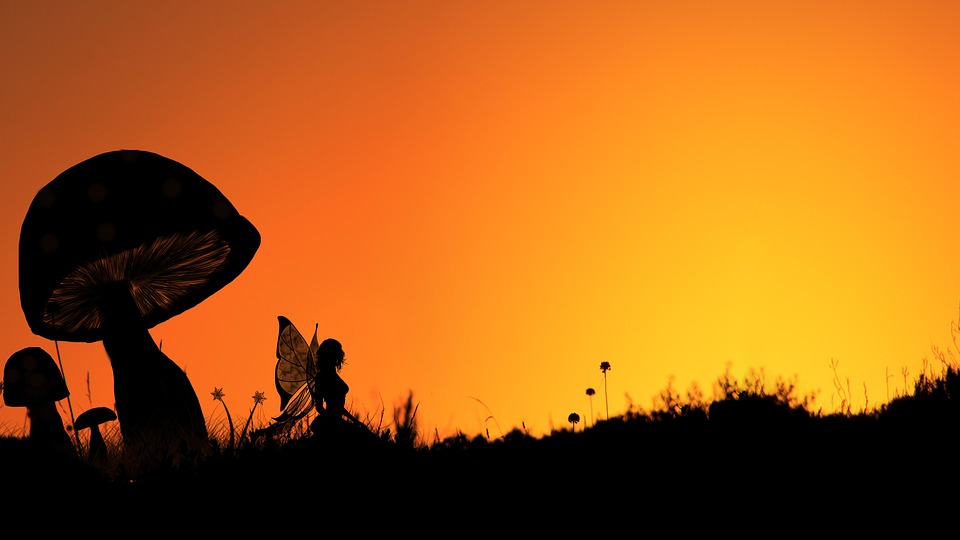 Adventlicher Zauber im Schloss Leonstein: Markttage in Grünburg
