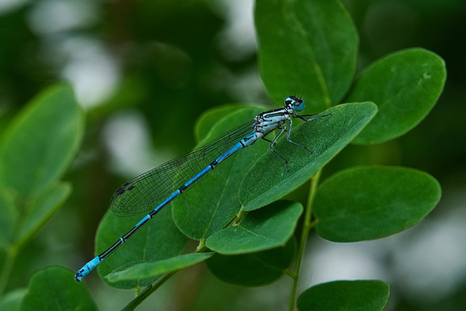 Adventmarkt Kainbach 2024: Handwerke und Besucher begeistern am Taggerhof