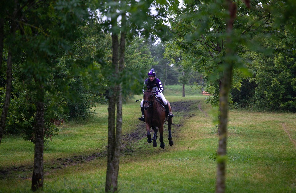 Adventmarkt am Taggerhof: Vielseitige Kunsthandwerke begeistern Kainbach