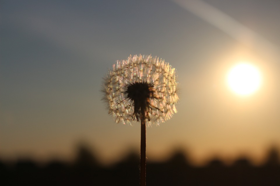 Adventmarkt der Volksschule Kirchdorf: Kreativität und Gemeinschaft feiern