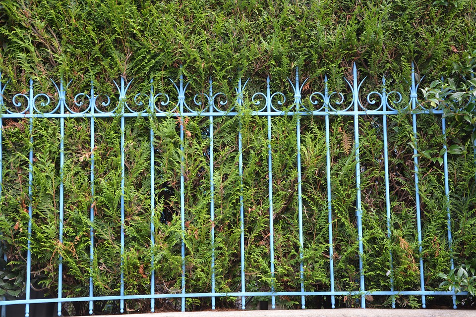 Adventszauber im Landkreis: Christkindlmärkte laden zur Besinnlichkeit ein