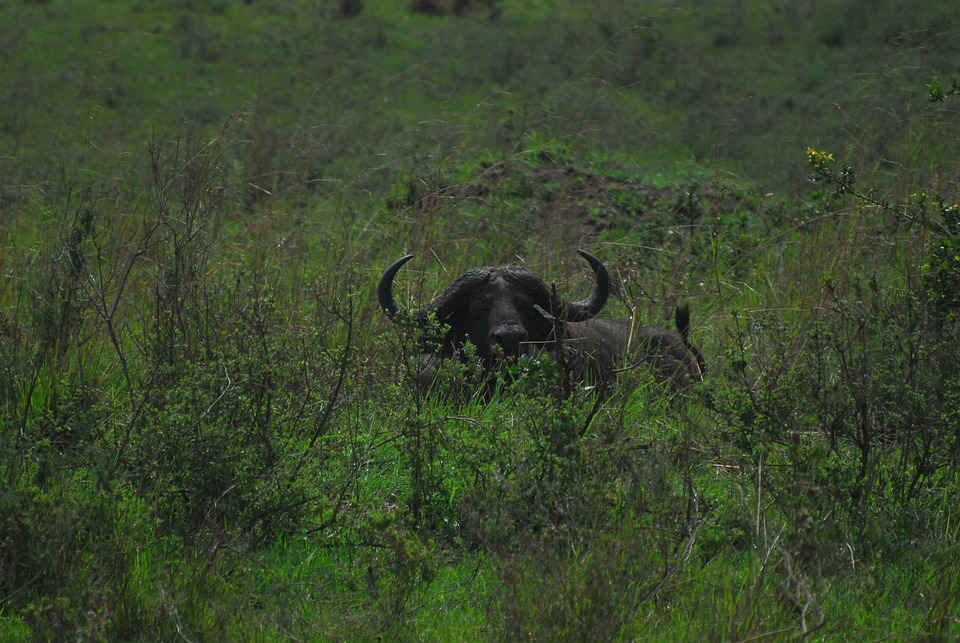 Aggressiver Vorfall in Leopoldstadt: Mann beißt Polizisten im Amt