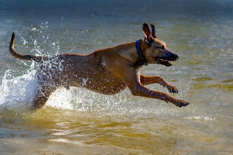 Aktion in Hernals: Klimaaktivisten lassen Luft aus 94 SUV-Reifen