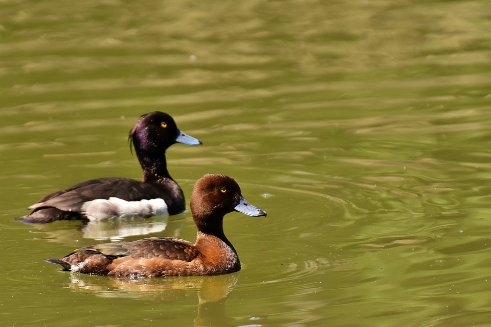 Alleinerziehende Frauen in der Pension: Armut und Einsamkeit bekämpfen