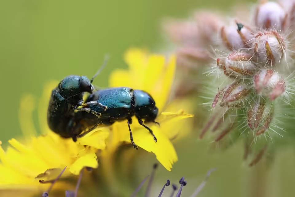 Amstettner Kulturwochen 2023: Ein Fest der Vielfalt vom 9. bis 24. November