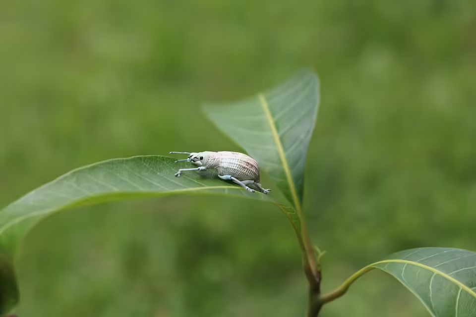 Andy Borg kommt nach Chemnitz: Tourdaten und Tickets für Schlagerfans