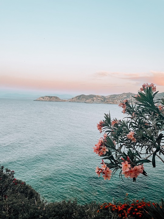 Angst und Verantwortung: Ein Blick auf Braunau und die Vergangenheit