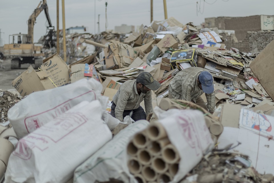 Arbeiter bei Baumschnitt in Wien lebensgefährlich verletzt