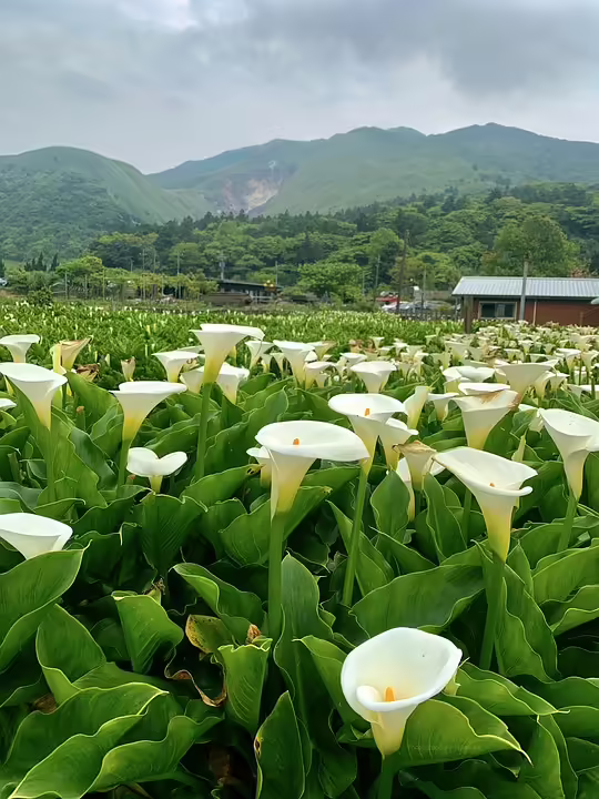 Arbeitslosigkeit im Bezirk Braunau: Ein Anstieg von 5,6 Prozent