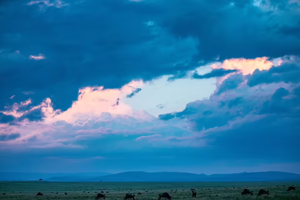 Arbeitsmarkt im Bezirk Amstetten: Trends und Herausforderungen