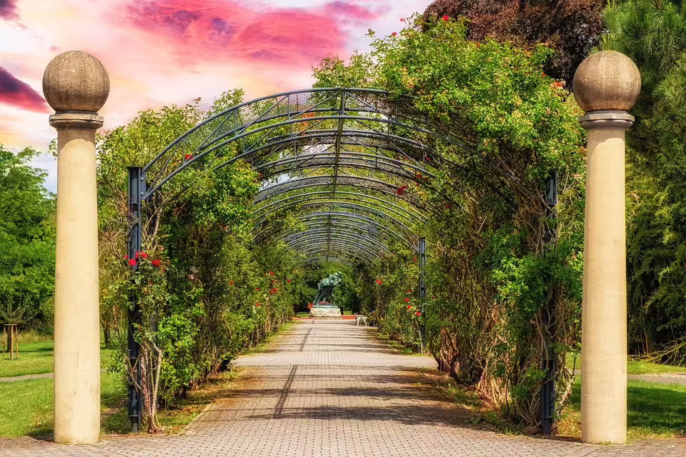 Arch Manning: Ein mysteriöser Auftritt im Sieg der Longhorns