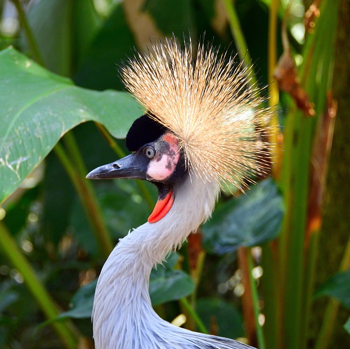 Arket eröffnet 2025 in Wien: Eine neue Ära des nachhaltigen Shoppens