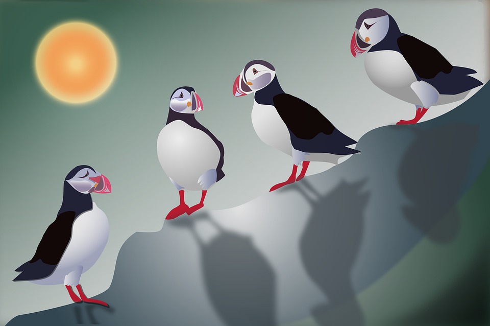 Artothek Weiz: Kunstwerke zum Ausleihen ab 28. November