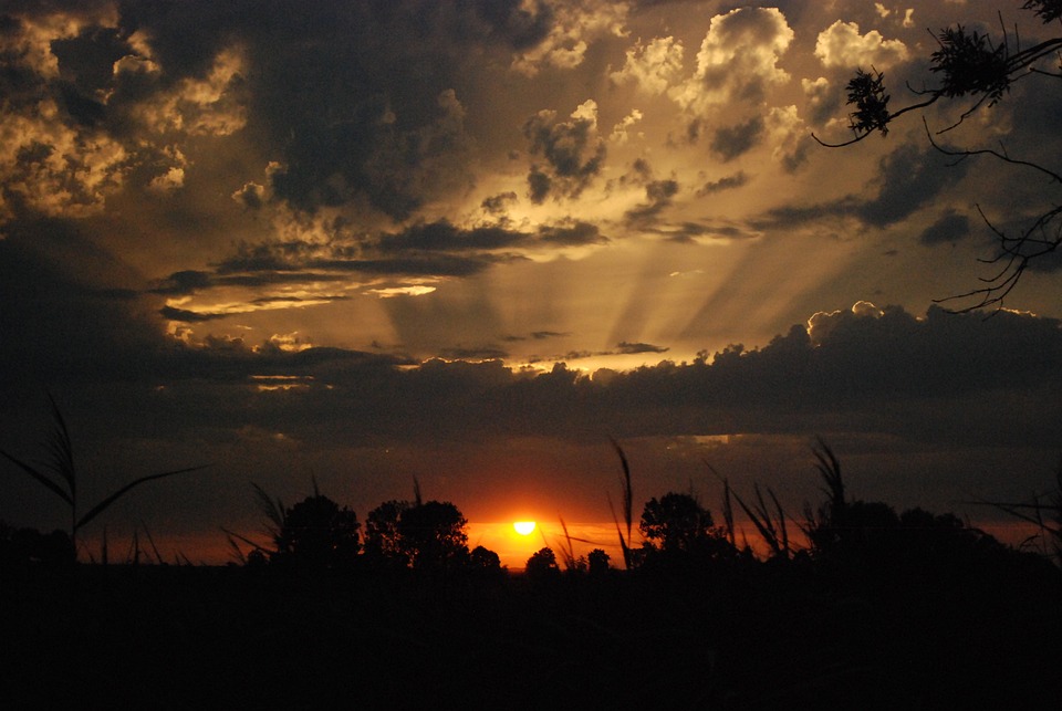 Asylbewerberzahlen im Oktober steigen: Weniger als letztes Jahr, aber dennoch anstieg