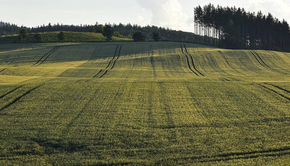 Auf den Spuren der Geschichte: Kuchler Science Talks über Halleins NS-Zeit