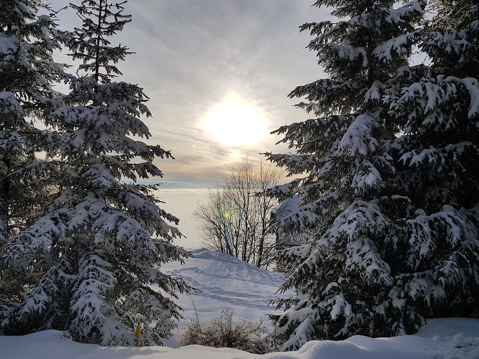 Auf der Koralpe: Lithiumvorkommen als Schlüssel zur grünen Zukunft