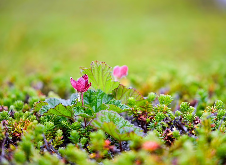 Aus U2-Aushub: Wienerberger produziert 1.000 Mini-Ziegel für die Stadt