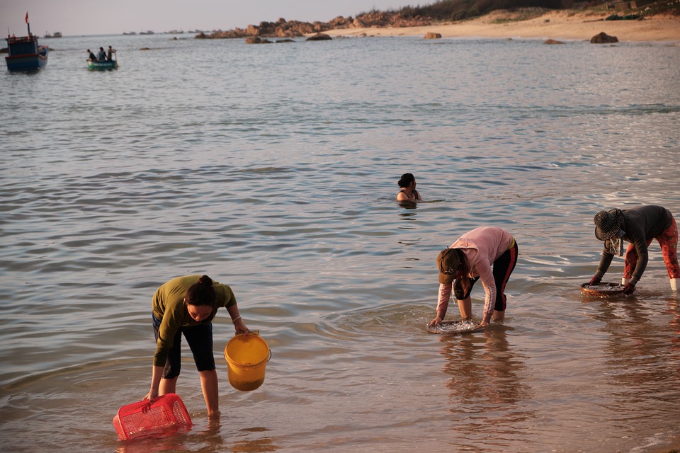 Autarkie im Burgenland: Wie Elektro-Heizungen den Alltag verändern
