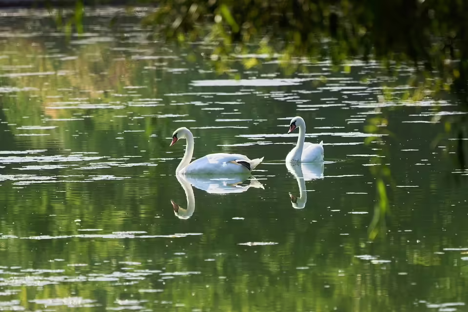 BG/BRG Bad Ischl: Erfolgreichstes SchulTestCenter 2023 ausgezeichnet