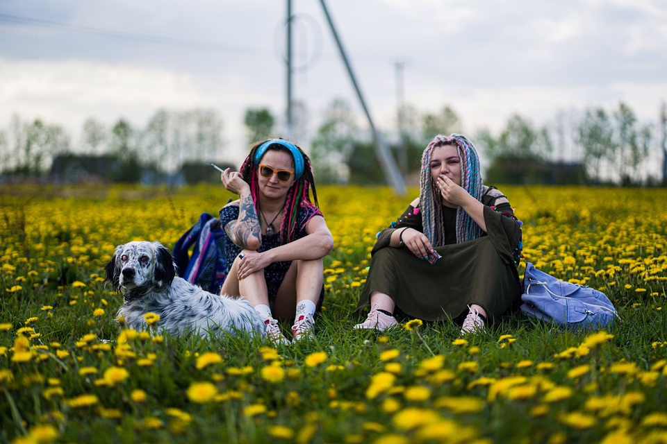 BIM 2023: Entdecken Sie Karrierechancen und Bewerbungs-Tipps in Salzburg