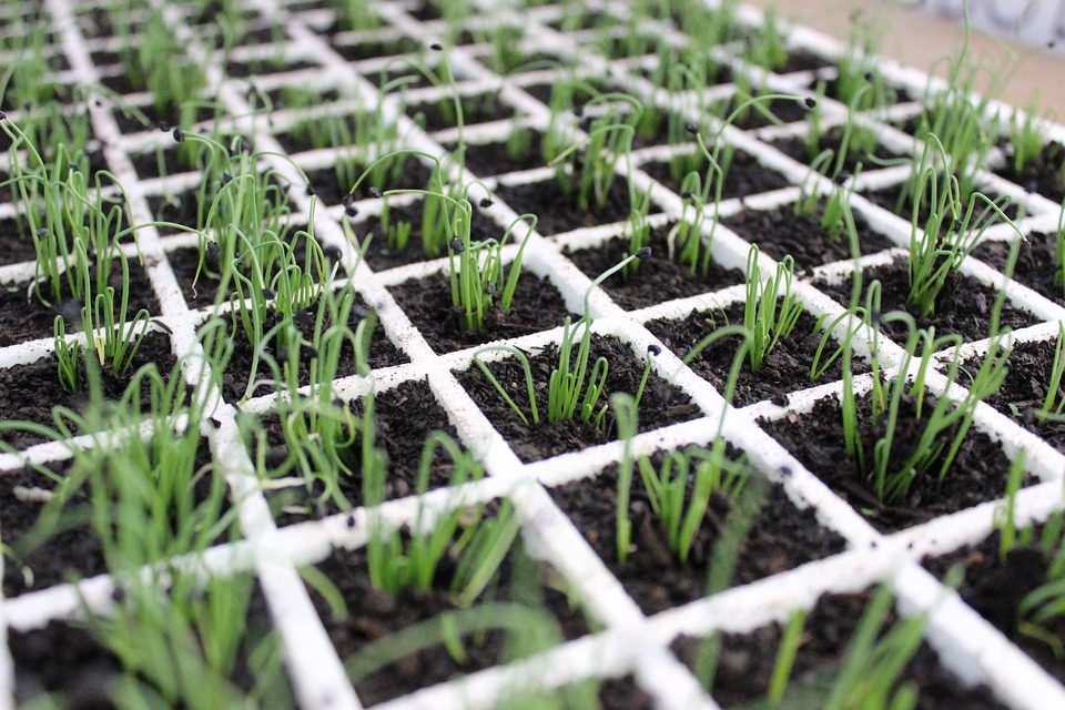 Bahnerneuerung zwischen Rothenthurn und Paternion: Änderungen im Fahrplan