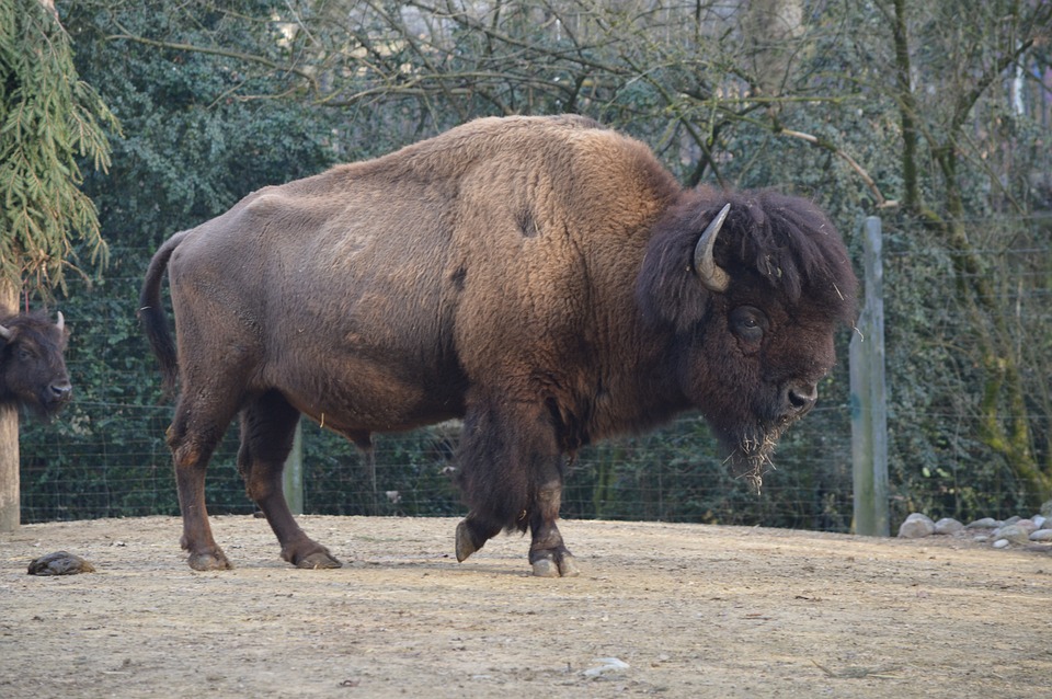 Barbaric GmbH eröffnet neues Bürogebäude in Eidenberg