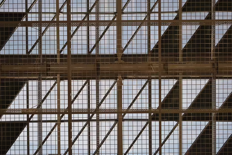 Bauern und Jäger atmen auf: Weniger Risse durch Wolf und Bär in Außerfern