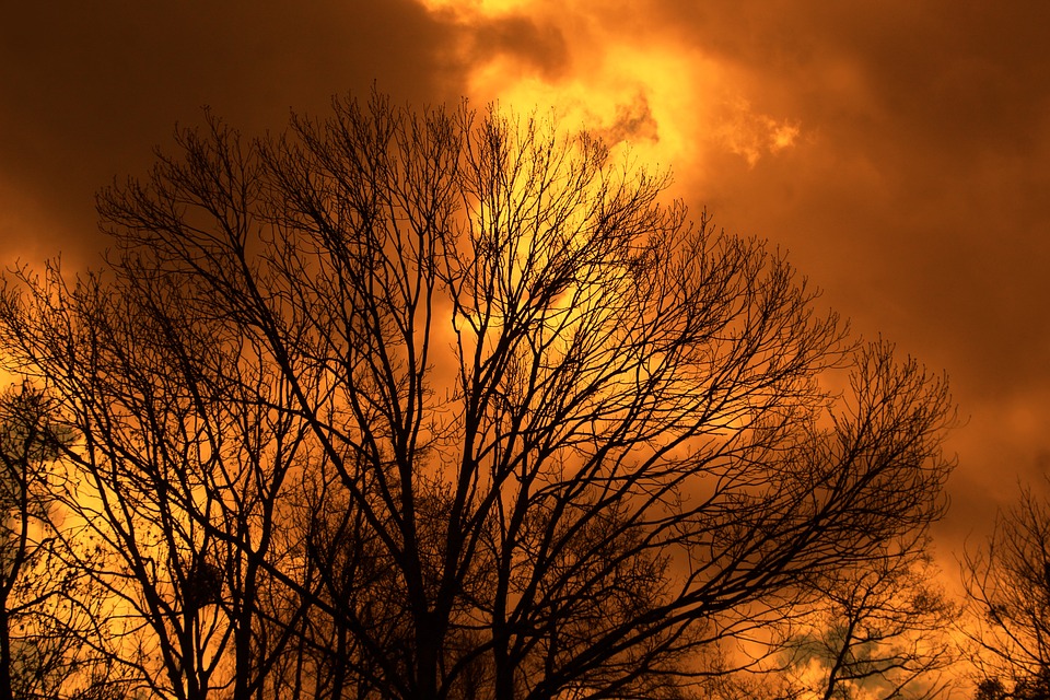 Benefizabend in Wolfsberg: Ein unvergesslicher Abend für einen guten Zweck