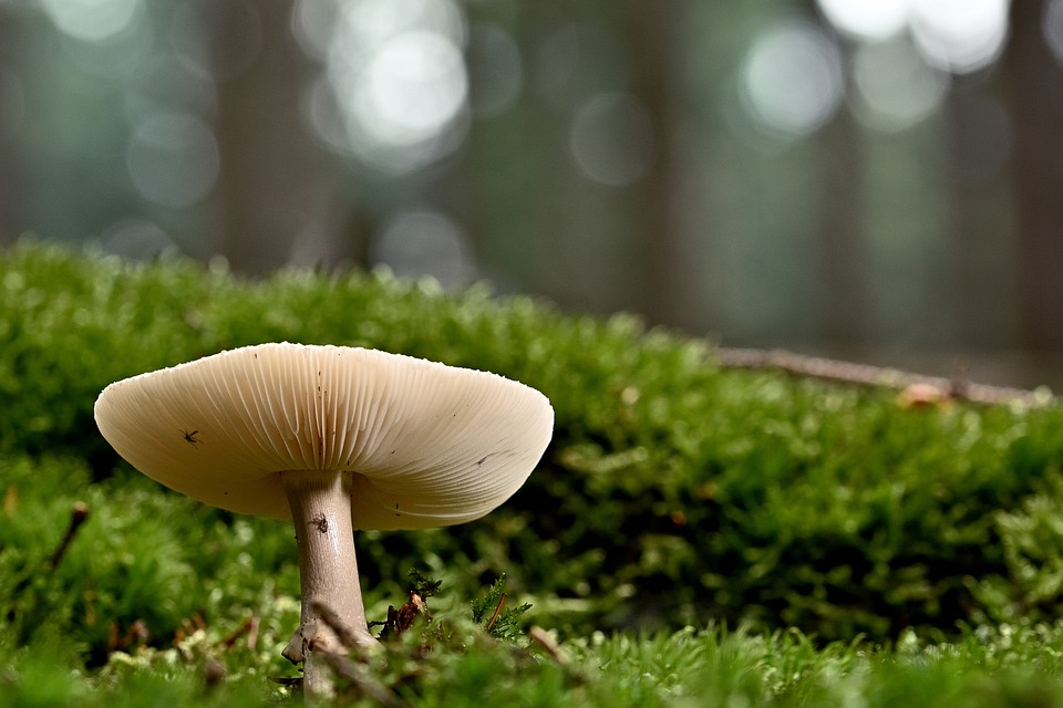 Berufsperspektiven hautnah: Korneuburger Schüler erleben Arbeitsalltag