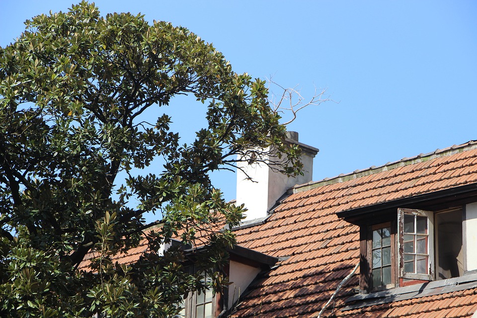 Bezirk Freistadt: Mülltrennung bleibt trotz neuer Pfandsystem-Regeln stark