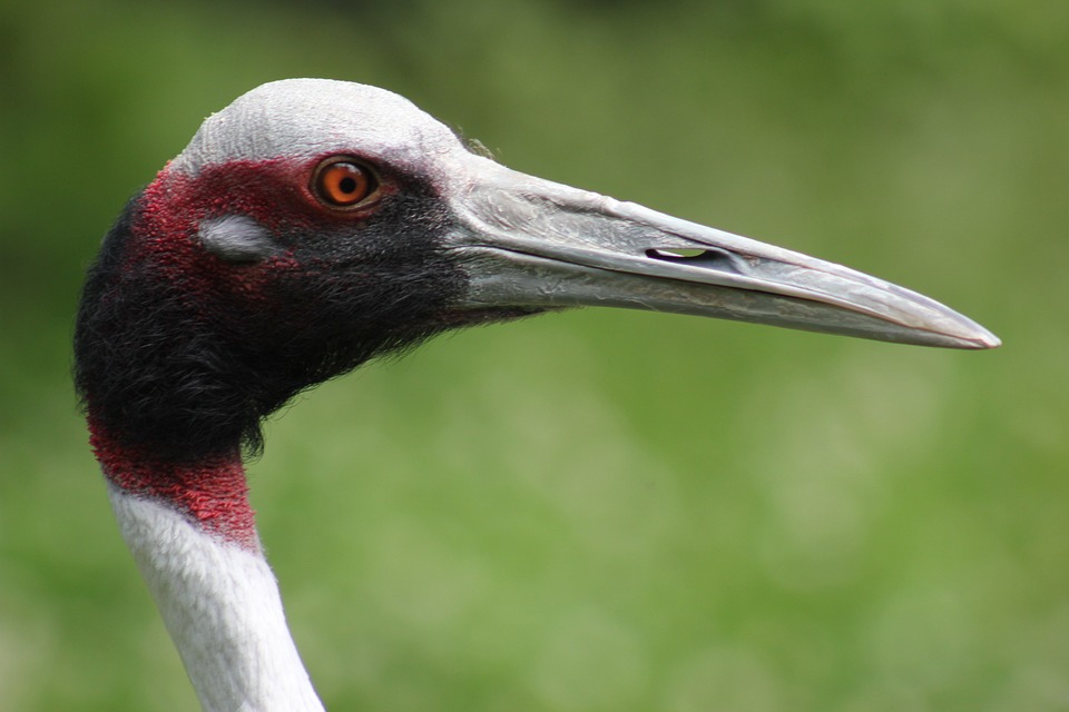 Billa und Bipa: Onlinehandel wächst, doch noch fern der Profitabilität