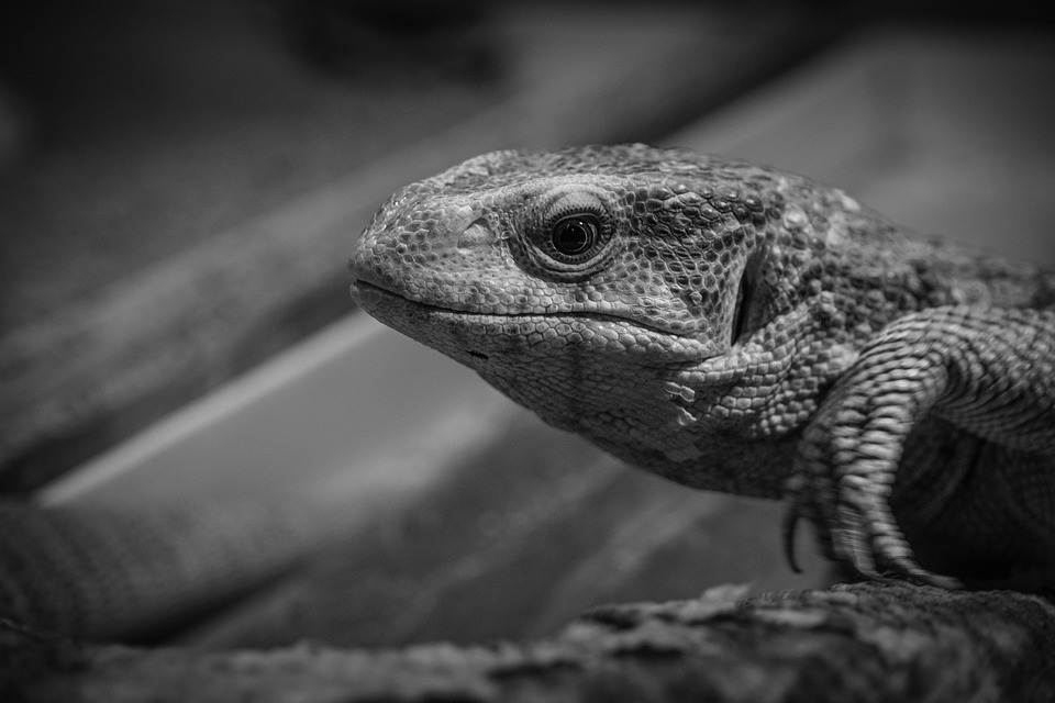 Black Weekend im TENORIO: Weihnachtsgeschenke mit bis zu 70% Rabatt!