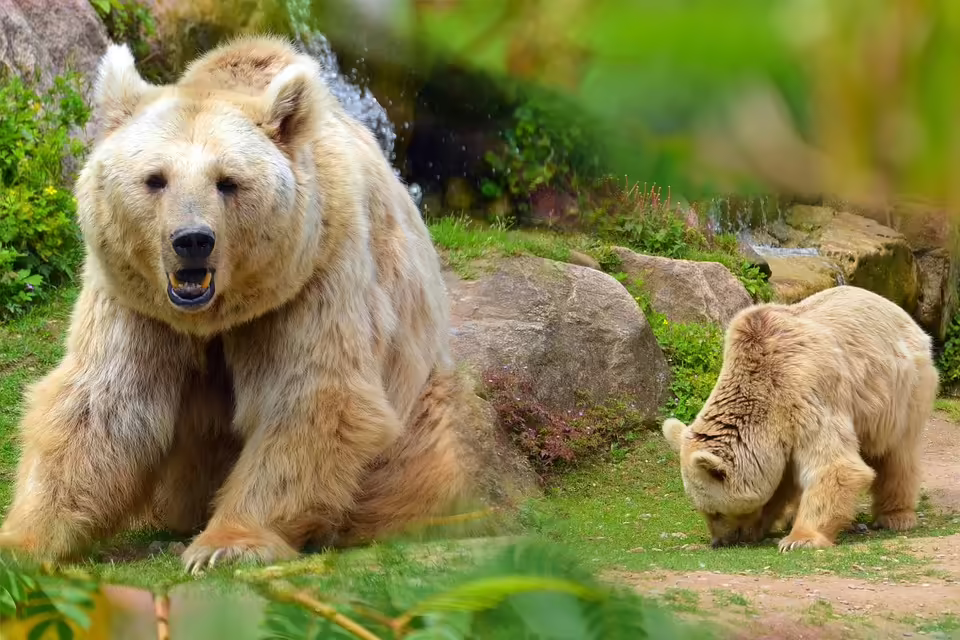 Blitzer-Alarm in Heidelberg: Aktuelle Standorte am 4. November 2024