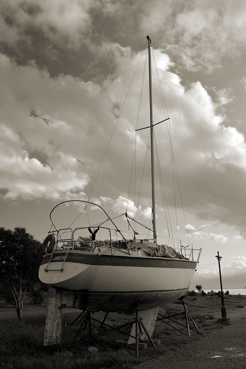 Blutbad in Wien: 27-Jähriger nach Mord an drei Frauen in Therapie