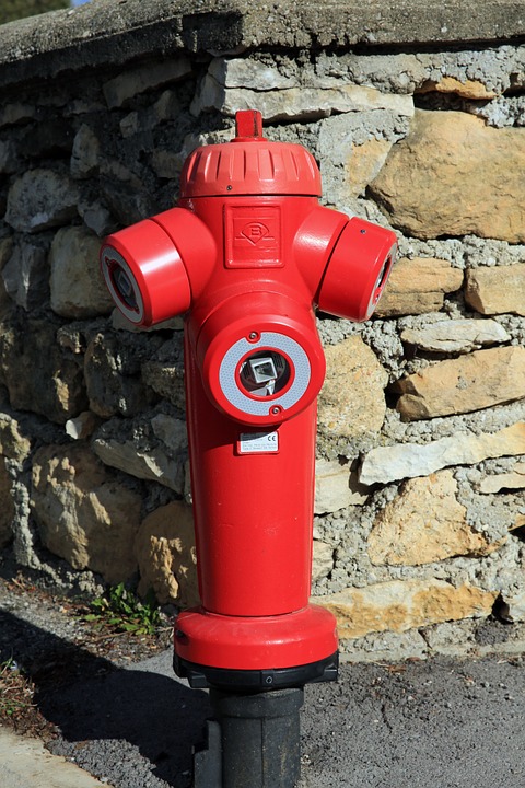 Borna zurück im Rennstall: Comeback nach Verletzungspause