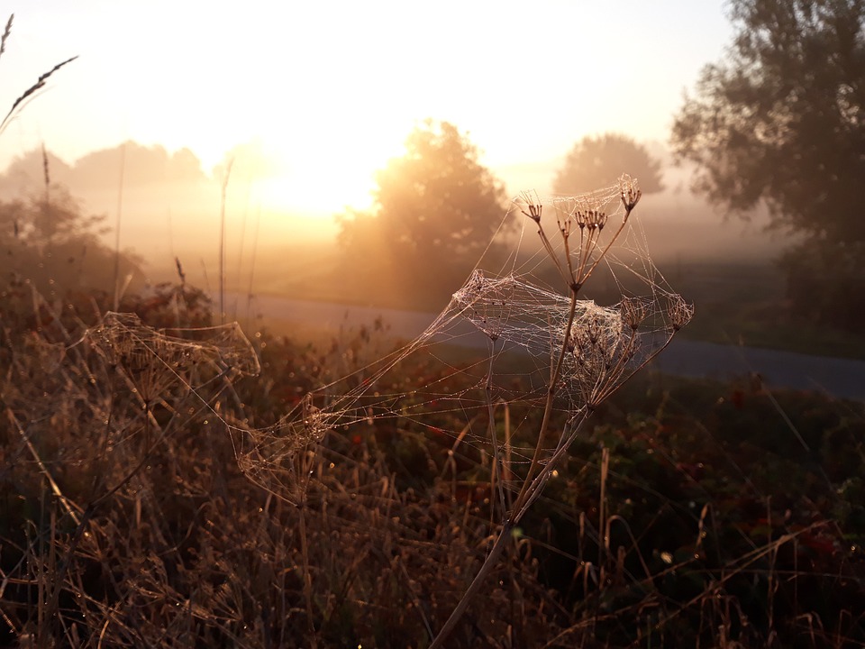 Brand im Campingbus: Feuerwehr Landshaag rettet benachbartes Fahrzeug