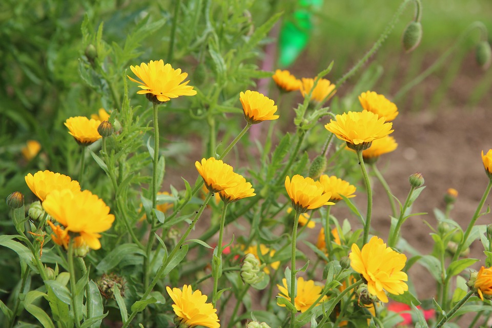 Brandanschlag in Floridsdorf: Sorgen um Sicherheit in Gemeindebau
