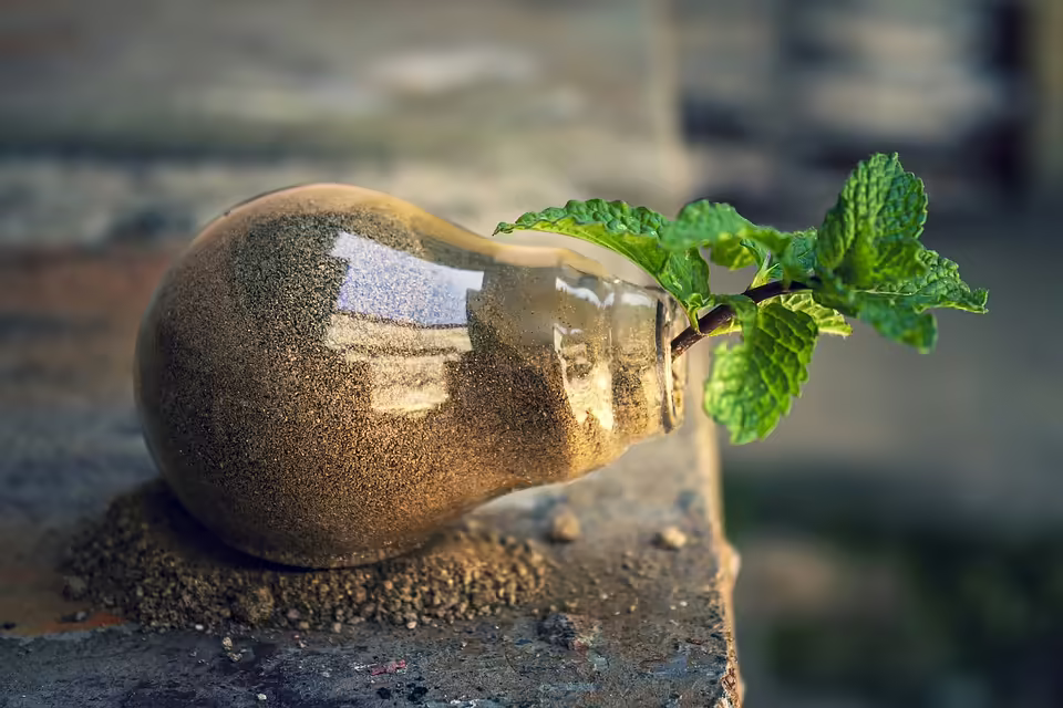 Bregenz zeigt Verantwortung: Schüler:innen reinigen das Bodenseeufer